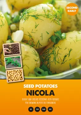 Nicola Seed Potato 2kg