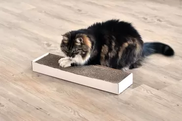 Nip-It Catnip Scratch Pad