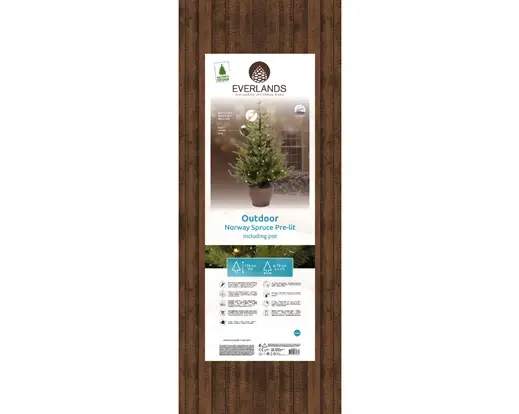 Norway Potted Tree Micro Led Bo Indoor And Outdoor - image 3