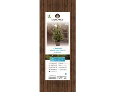 Norway Potted Tree Micro Led Bo Indoor And Outdoor - image 3