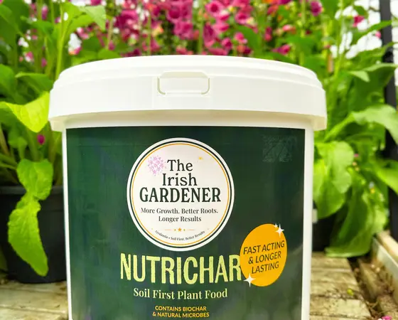 Nutrichar 10kg - image 3