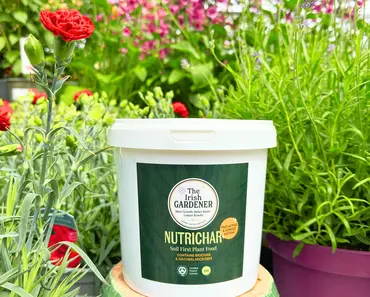 Nutrichar 1kg - image 2