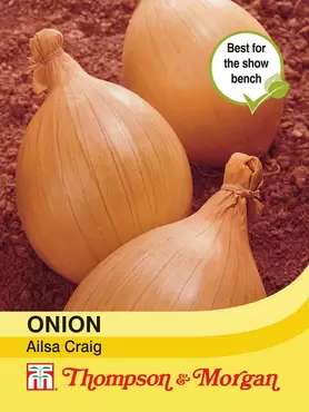 Onion Ailsa Craig