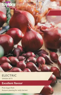 Onion Electric 14-21 P/P