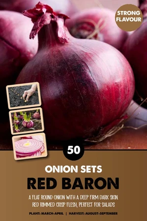 Onion Red Baron