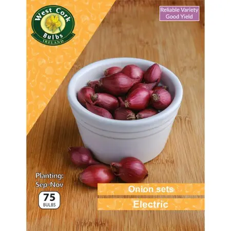 Onion Sets Electric 75 Pack