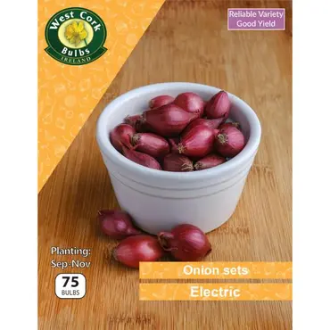 Onion Sets Electric 75 Pack