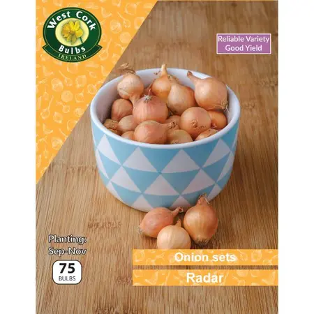 Onion Sets Radar 75 Pack
