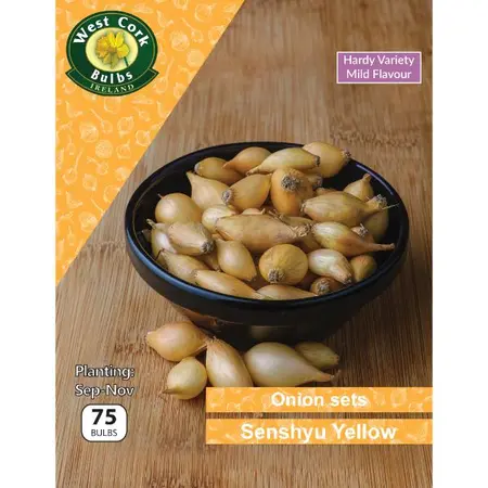 Onion Sets Senshyu Yellow 75 Pack