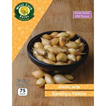 Onion Sets Senshyu Yellow 75 Pack