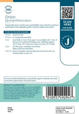 Onion (Spring) White Lisbon - image 2