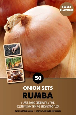Onionsets Rumba