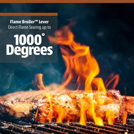 Onyx Austin XL 1000 - image 4