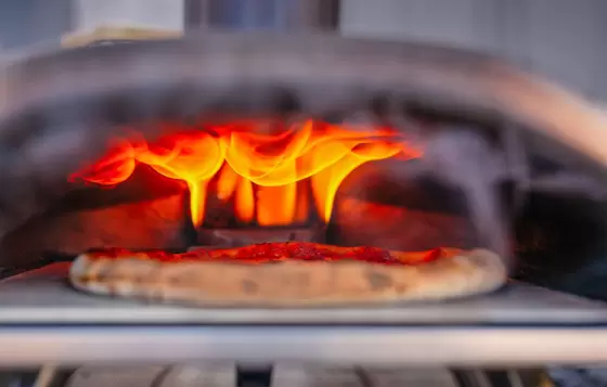 Ooni Fyra 12 Wood Pellet Pizza Oven - image 5