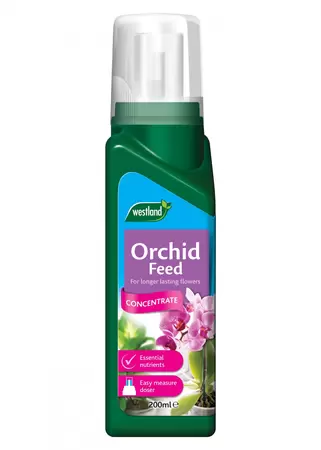 Orchid feed