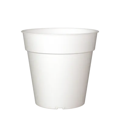 Orchid Pot 13cm Clear
