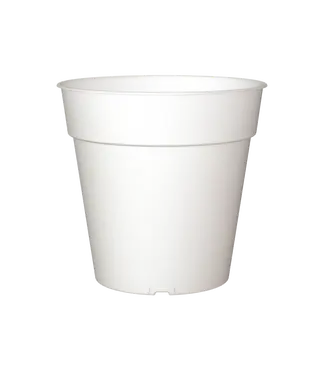 Orchid Pot 13cm Clear