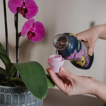 Orchid water - image 3