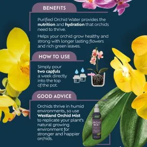 Orchid water - image 2