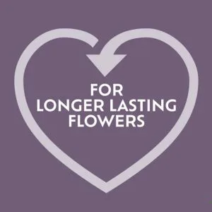 Orchid water - image 4