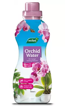 Orchid water