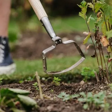Oscillating Hoe - image 2