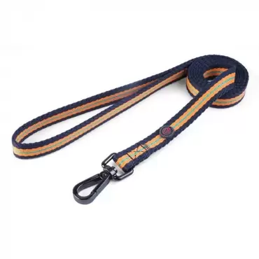 Oxford Walkabout Dog Lead - Small 