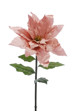 Pale Pink Velvet Poinsettia With Stem 105cm