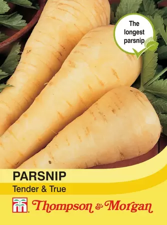 Parsnip Tender & True