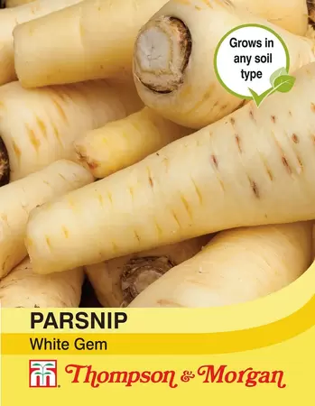 Parsnip White Gem