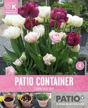 Patio Container Tulipa Pink, Purple & White