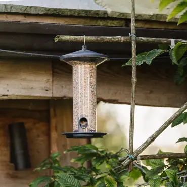 Peckish Funnel Seed Feeder - image 2