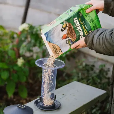 Peckish Funnel Seed Feeder - image 3