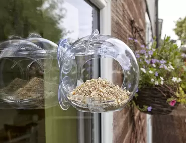 Globe window feeder