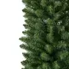 Pencil Pine 10ft/300cm - image 2
