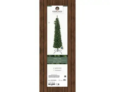 Pencil Pine 10ft/300cm - image 3