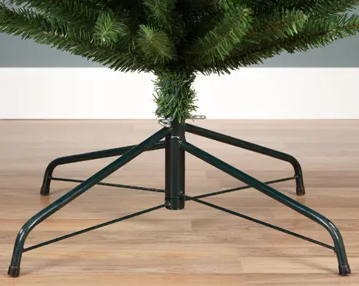 Pencil Pine 300cm/10ft - image 4