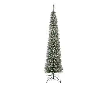 Pencil Pine Snowy 10ft/300cm
