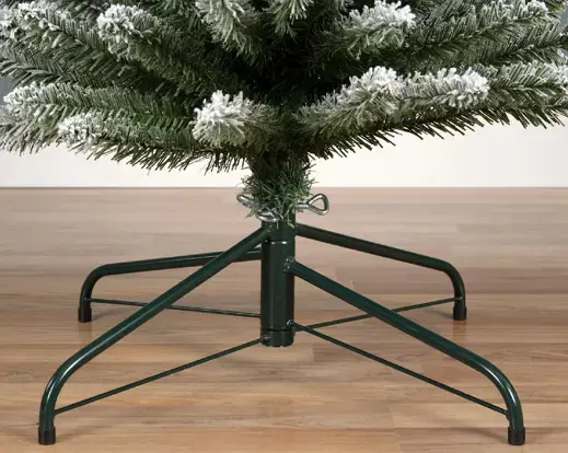 Pencil Pine Snowy 10ft/300cm - image 4