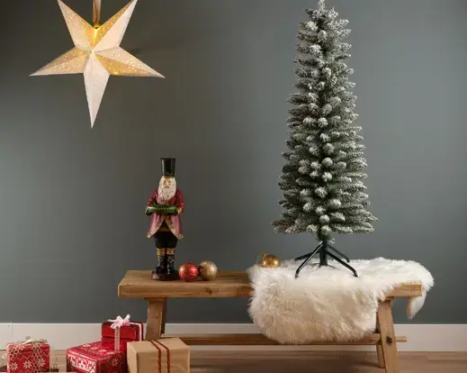 Pencil Pine Snowy 180cm/6ft - image 4