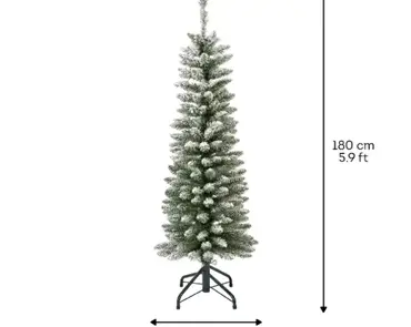 Pencil Pine Snowy 180cm/6ft - image 5