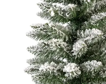 Pencil Pine Snowy 180cm/6ft - image 6