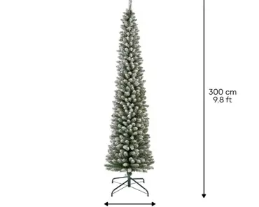 Pencil Pine Snowy 300cm/10ft - image 6