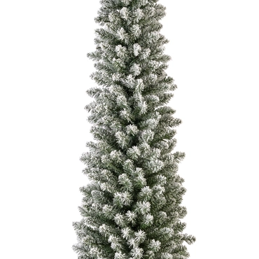 Pencil Pine Snowy 8ft/240cm - image 2