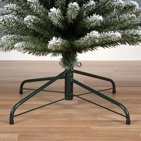 Pencil Pine Snowy 8ft/240cm - image 3
