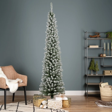 Pencil Pine Snowy 8ft/240cm - image 5