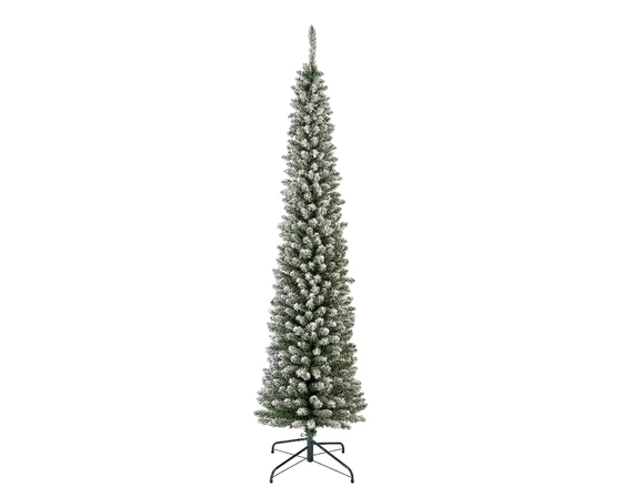 Pencil Pine Snowy 8ft/240cm - image 1