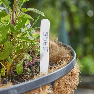 Plant Labels 12.5 Cm 100-Pk - image 2
