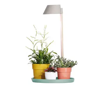 Plant Light Care 11cm Glacier (Grey) - image 2