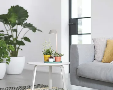 Plant Light Care 11cm Glacier (Grey) - image 3